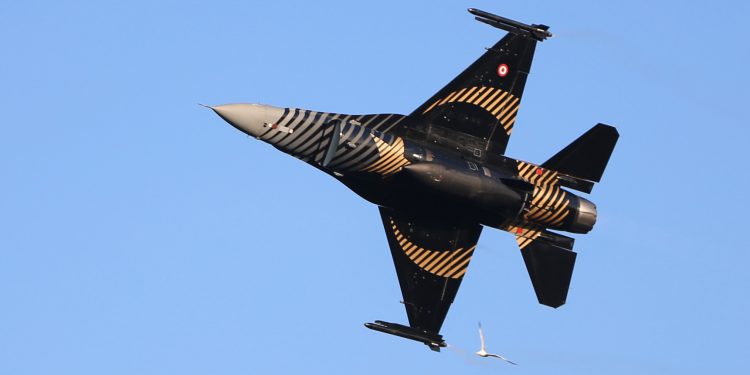 SOLOTÜRK ve martı birlikte gösteri yaptı