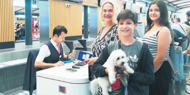 Evcil hayvanlara özel kontuvar