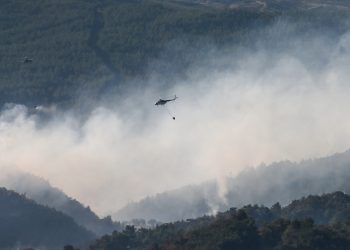 Orman yangınlarında yönetim kargaşası var