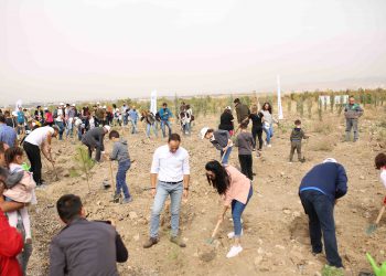 SunExpress’ten Ankara’da hatıra ormanı