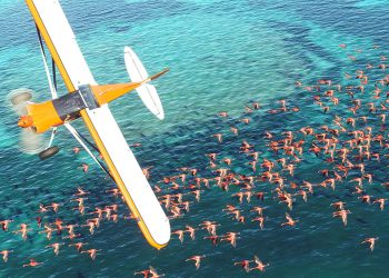 Flight Simulator’ün yeni versiyonu 2020’de çıkıyor