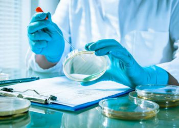 Seyahat edenler bu hastalıklara dikkat!