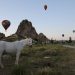 Kapadokya semaları sıcak hava balonlarıyla renklendi