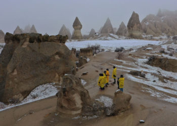 Tur Operatörleri Platformu