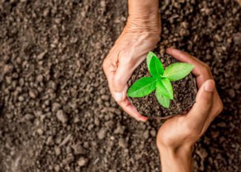 Havacılık şirketlerinden fidan dikme kampanyasına destek
