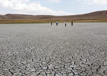 Ekoloji, çevre, küresel ısınma ve Türkiye