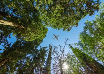 IATA 186 ülkede yaptığı anketi açıkladı