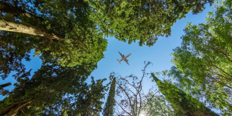 IATA 186 ülkede yaptığı anketi açıkladı