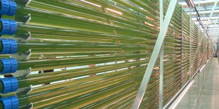 Yosundan jet yakıtı üreten tesis hizmete açıldı