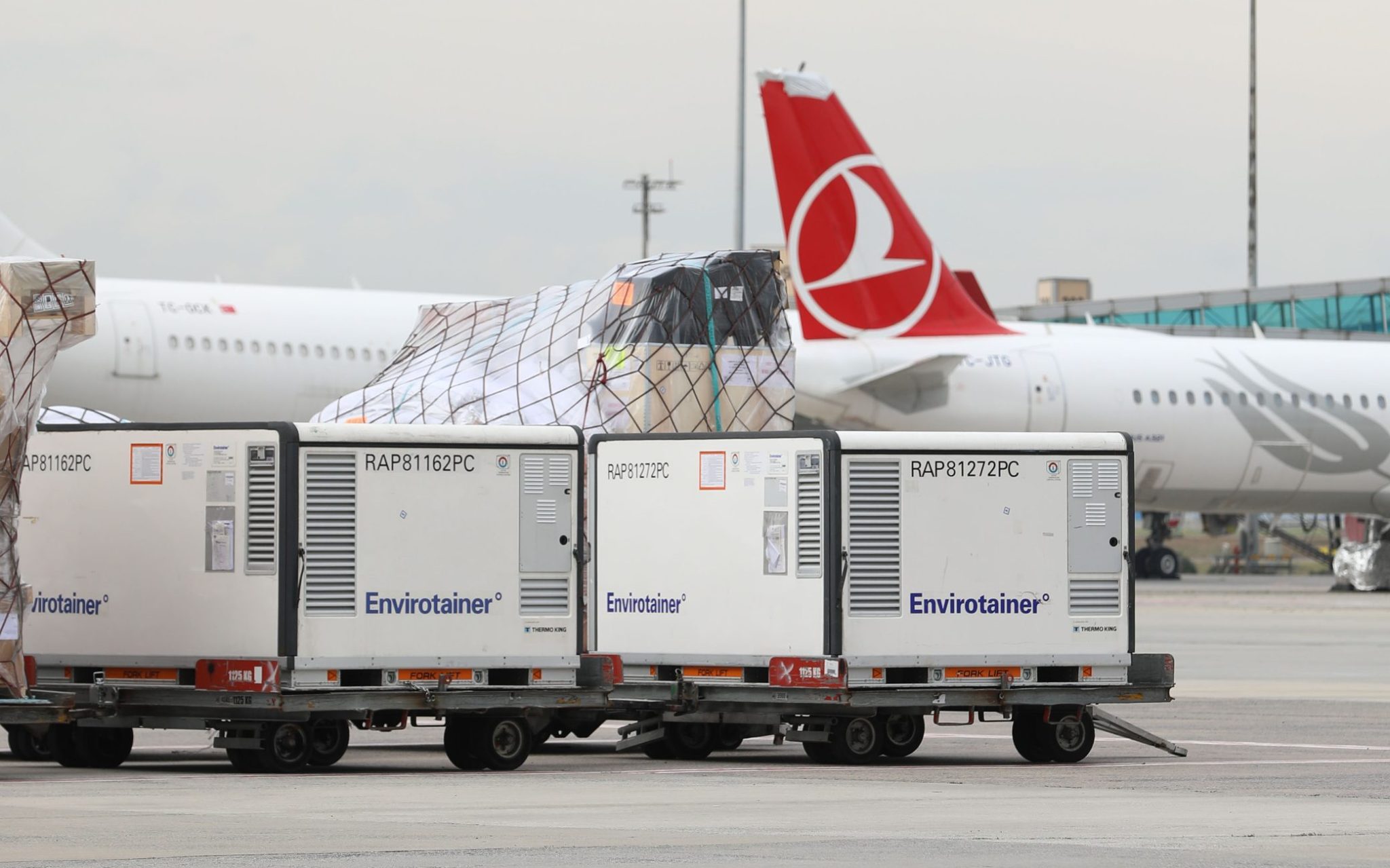 Cargo run. Cargo турецкий. Turkish Cargo Airlines. Turkish Cargo фирменный цвет. Туркиш карго самолет вид снизу.