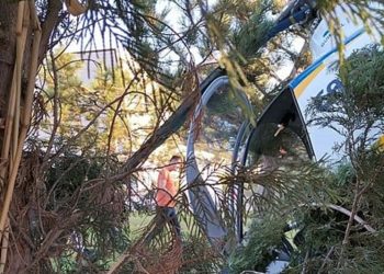 Afyonkarahisar’da ağaçlara takılan helikopter düştü