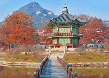 Lufthansa’dan G.Kore’de yenilikçi ortaklık