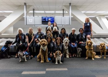 Uçmadan önce hayvan sevmeye ne dersiniz?