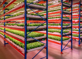 Emirates dünyanın en büyüğünü satın aldı