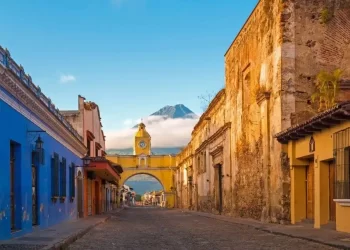 Ağaçların çok olduğu ülke