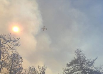 İzmir’deki yangına 9 hava aracı müdahale ediyor