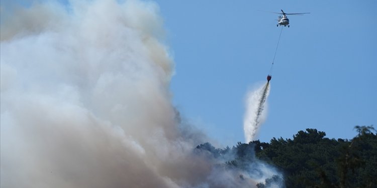 Orman yangınları geçen yıla göre yüzde 78 arttı
