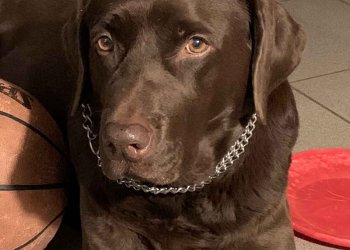 Muhabiriniz Pati’den Girne’de iki sokak röportajı