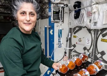 Uzayda biftek ve tatlı için ilk adım atıldı!