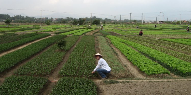 Çalışkan, yurtsever insanların ülkesi Vietnam – Bölüm: 3 China Beach ve Hoi An