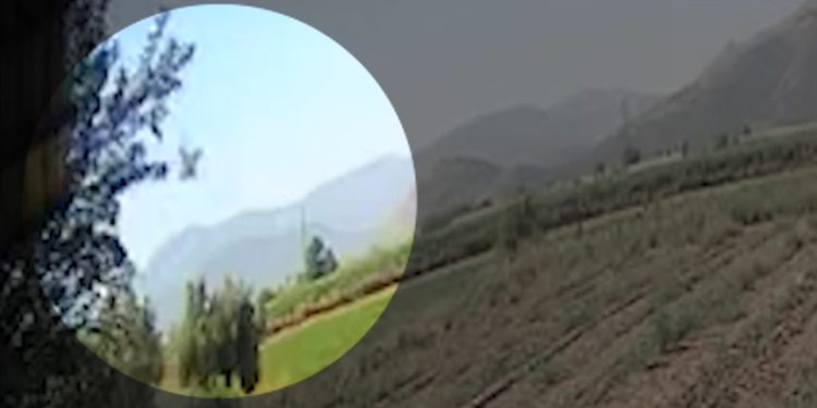 Pilot adayı hayatını kaybetmişti: Uçağın düşme anı ortaya çıktı