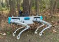 Yerli robot köpek PROTEO 2026’da göreve hazır