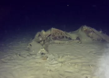 THY’nin 50 yıl önce Marmara’ya düşen uçağının enkazı bulundu!